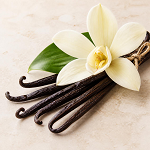 Vanilla Ease Type Fragrance Oil 